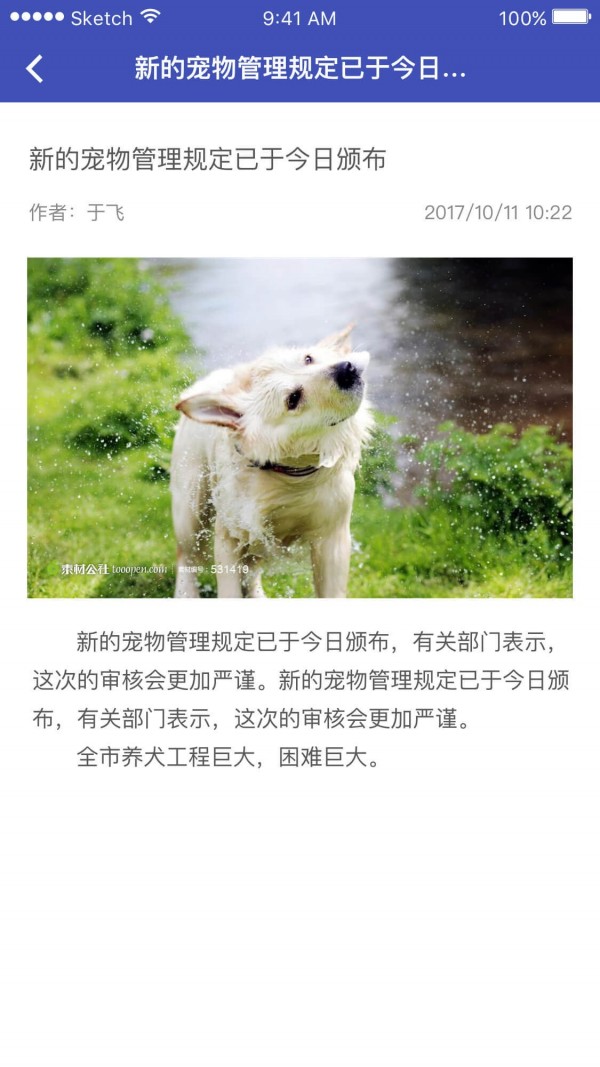 养犬执法截图