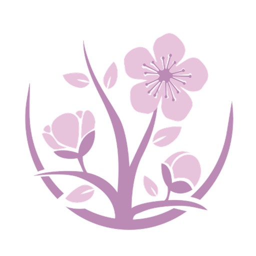 養生菜譜