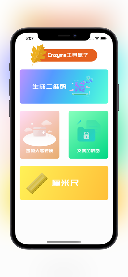 Enzyme工具盒子截图