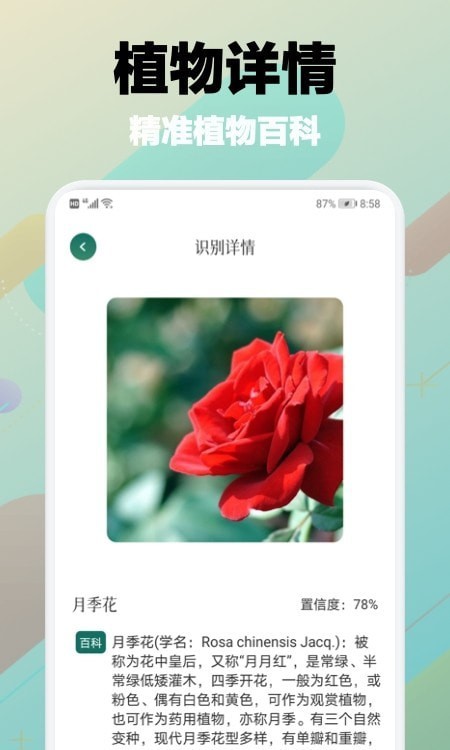 樹林記憶