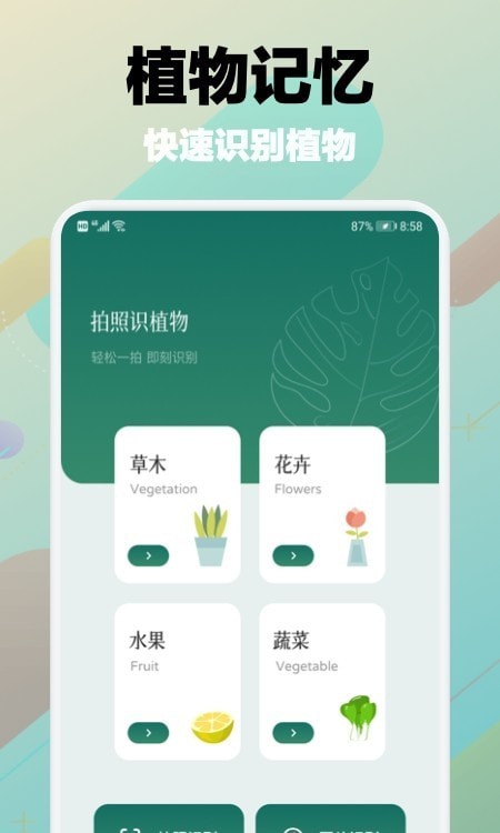樹林記憶