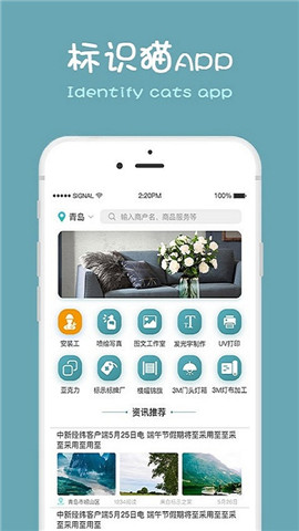 標識貓
