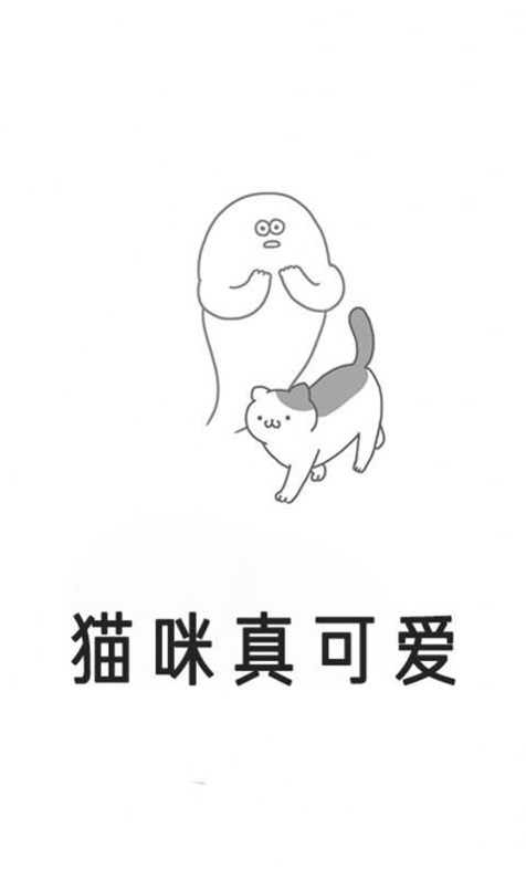 猫咪真可爱