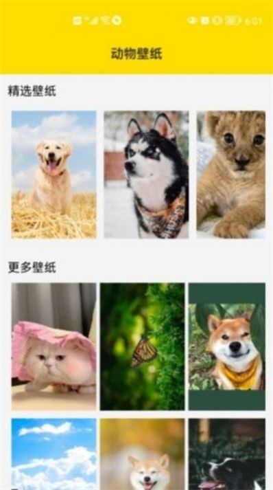 兔子表情包截图