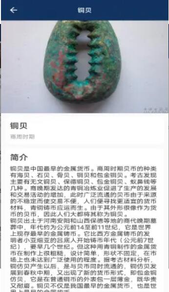 币宝藏