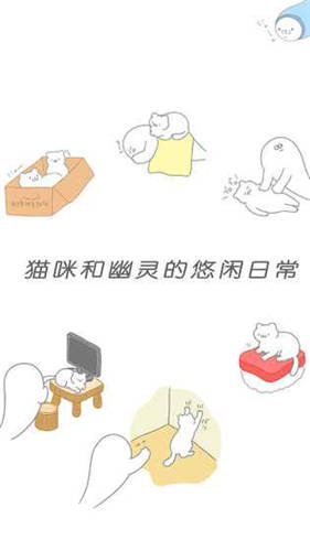 猫咪很可爱免广告