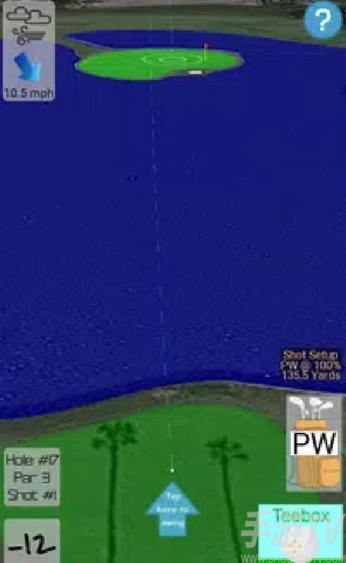 RealViewGolf