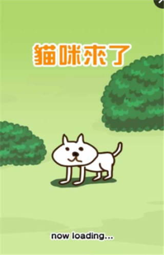 猫咪来了