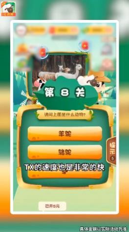 动物小派对