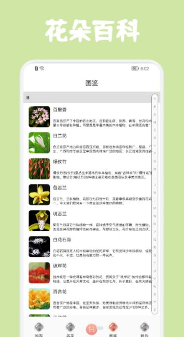 识花拍照帮截图