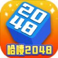 哈喽2048