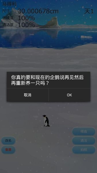 治愈的企鹅育成