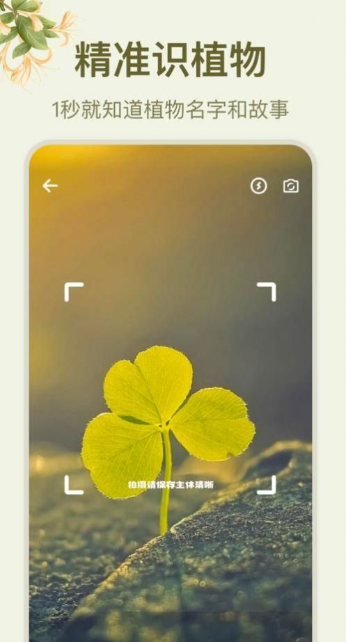 拍照識花大師