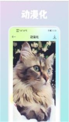 Wink画质修复截图