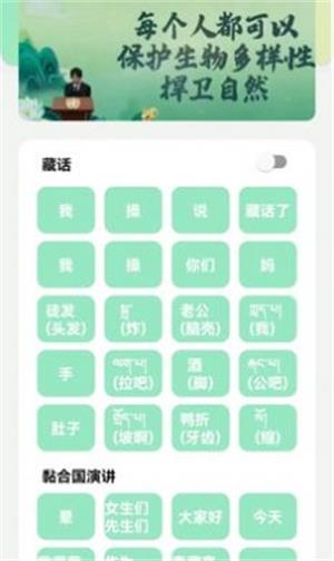 丁真盒8.0版