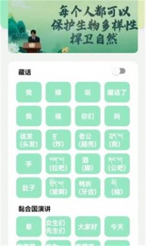 丁真盒8.0版