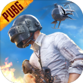 pubg地铁逃生直装科技