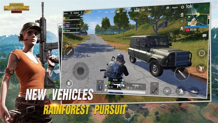 pubg轻量版北辰轻体直装V10