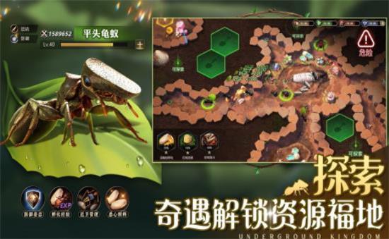 小小蚁国修改器