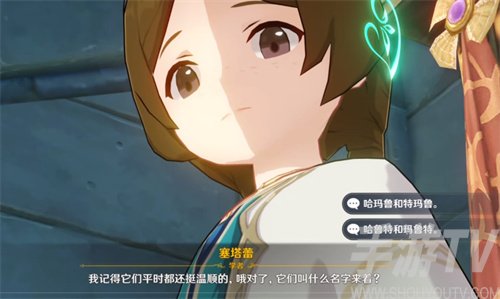 原神两只猫的名字是什么 塞塔蕾的猫名字答案分享