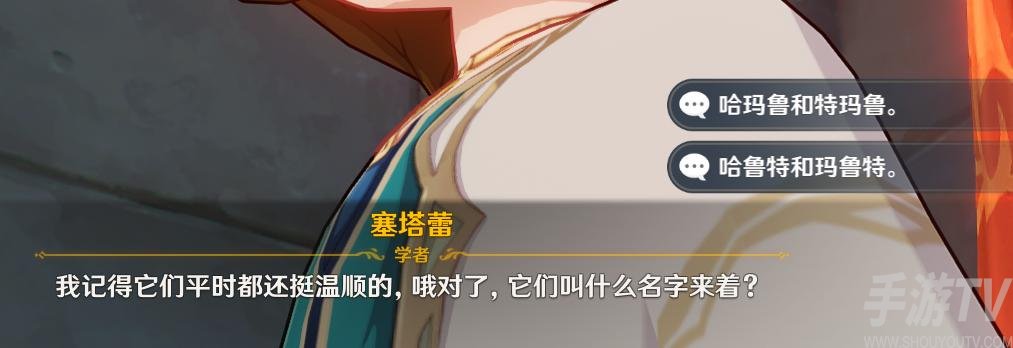 原神两只猫的名字是什么 塞塔蕾的猫名字答案分享