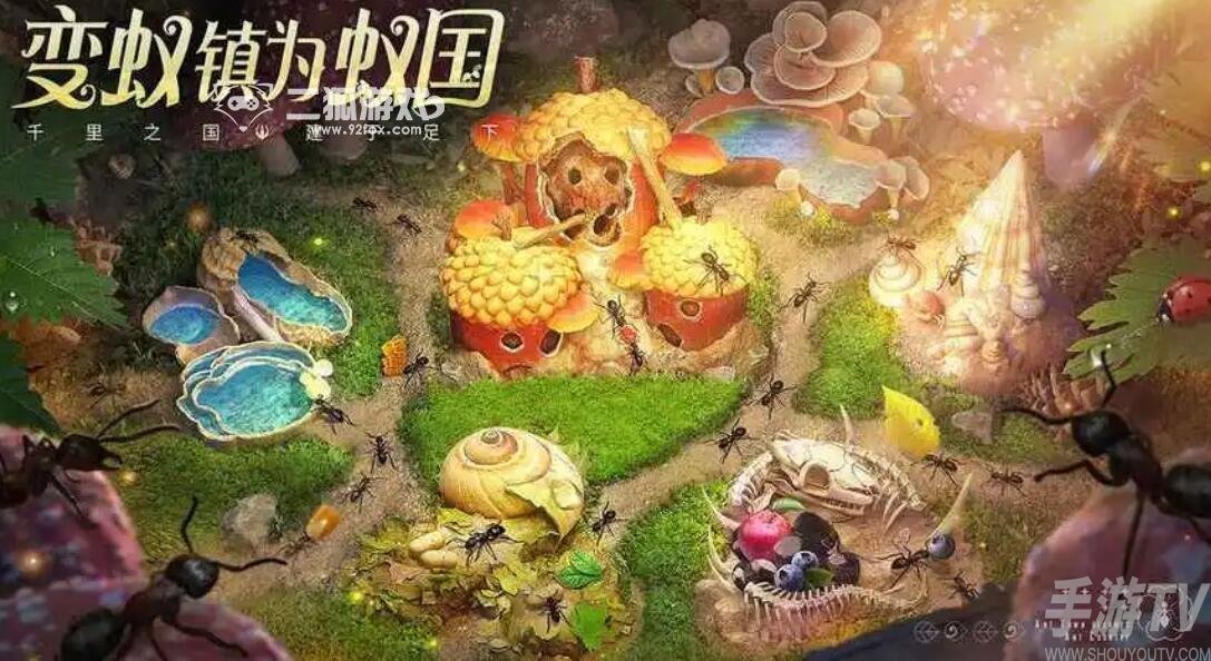 小小蚁国兑换码大全2022 小小蚁国兑换码永久通用