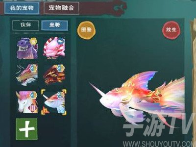 创造与魔法坐骑排行2022