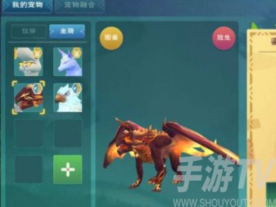 创造与魔法坐骑排行2022