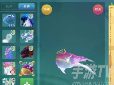创造与魔法坐骑排行2022