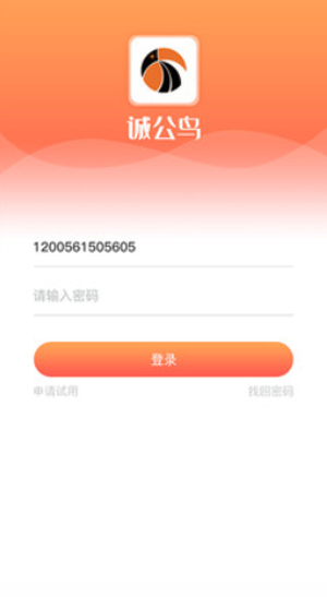 诚公鸟
