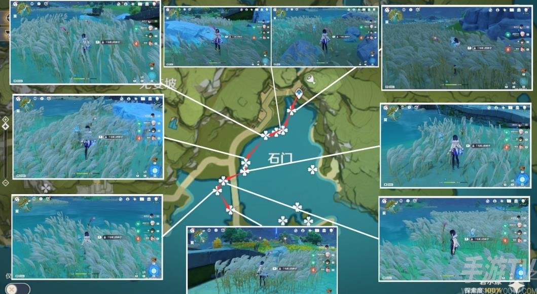 《原神》马尾快速收集攻略