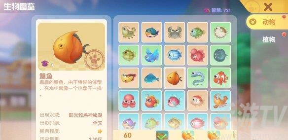 《摩尔庄园》黑玛丽鱼钓取攻略