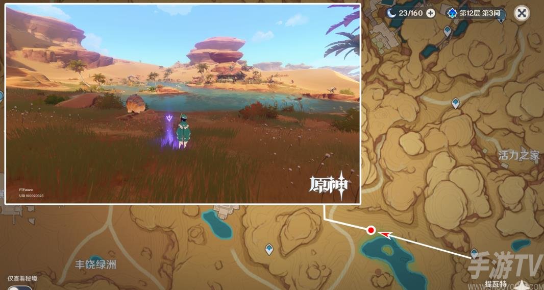 《原神》须弥沙漠观景点攻略