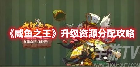 咸鱼之王升级资源分配方法