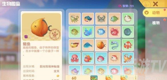 《摩尔庄园》小丑鱼钓取攻略