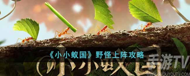 小小蚁国野怪怎么上阵