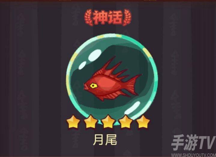 咸鱼之王月尾搭配推荐