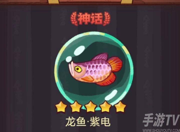 咸鱼之王龙鱼紫电搭配推荐