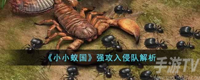 小小蚁国强攻入侵队怎么样