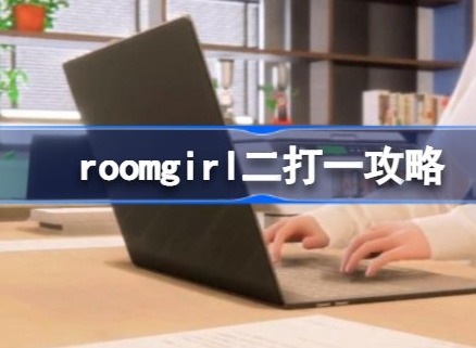 roomgirl怎么二打一 二打一攻略