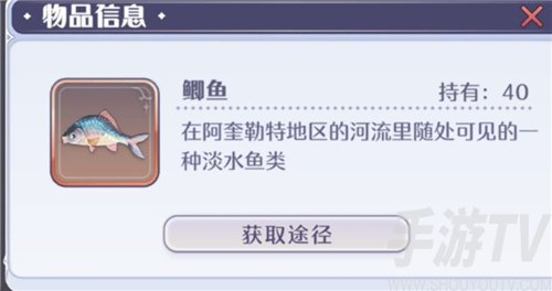 玛娜希斯回响鱼类图鉴大全