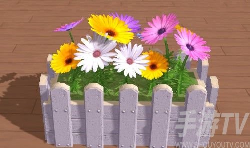创造与魔法花仙子在哪
