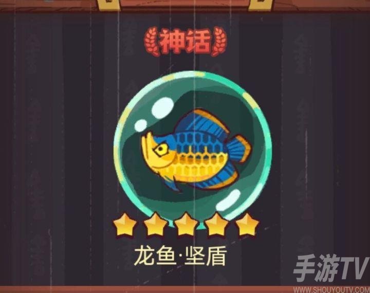 龙鱼坚盾攻略