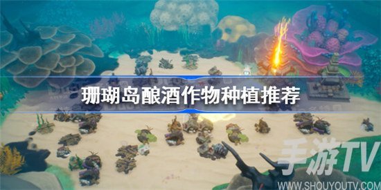 珊瑚岛酿酒种什么作物好 珊瑚岛酿酒作物种植攻略详解