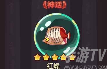 《咸鱼之王》鱼灵搭配攻略202