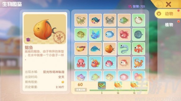 摩尔庄园罗汉鱼出现时间地点介绍