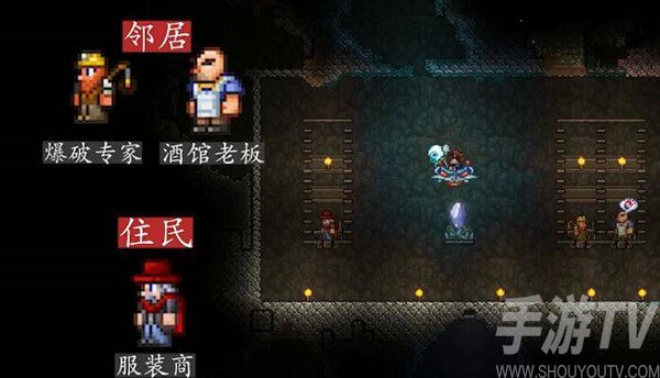 泰拉瑞亚npc最佳分配攻略 泰拉瑞亚npc最佳分配方案图
