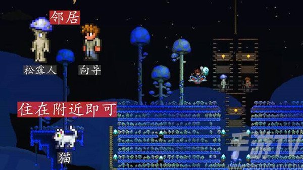 泰拉瑞亚npc最佳分配攻略 泰拉瑞亚npc最佳分配方案图