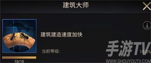 小小蚁国初期进化选择什么类型-选择类型推荐