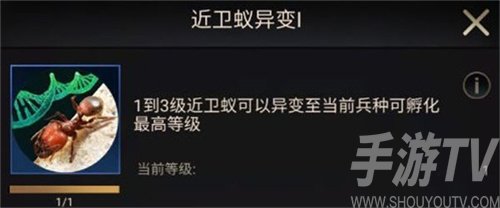 小小蚁国初期进化选择什么类型-选择类型推荐